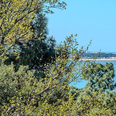 Mistral Pyla-sur-mer Willa