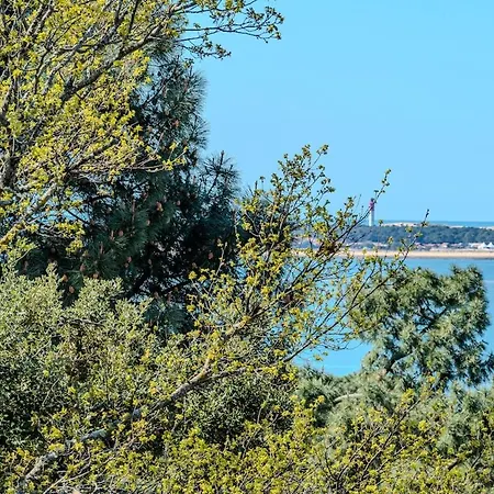 Mistral Pyla-sur-mer 别墅